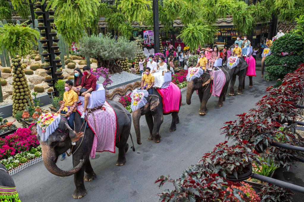 Boda sobre elefantes para 9 parejas en Día de San Valentín en Tailandia