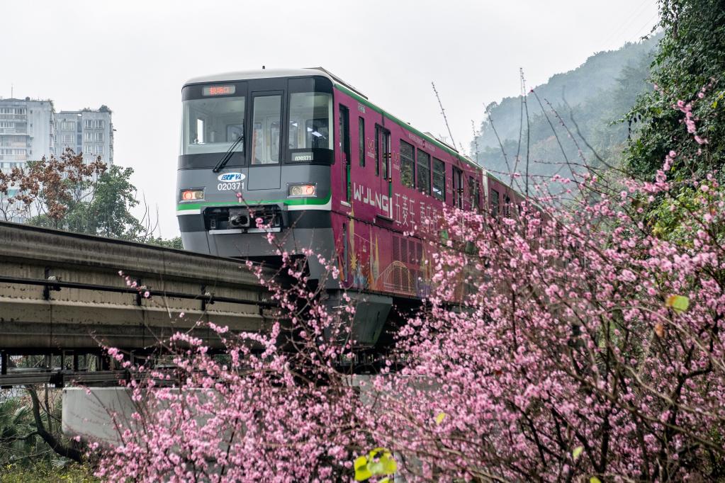 Flores a lo largo de la estación Liziba de la Línea 2 de Tránsito del Ferrocarril de Chongqing