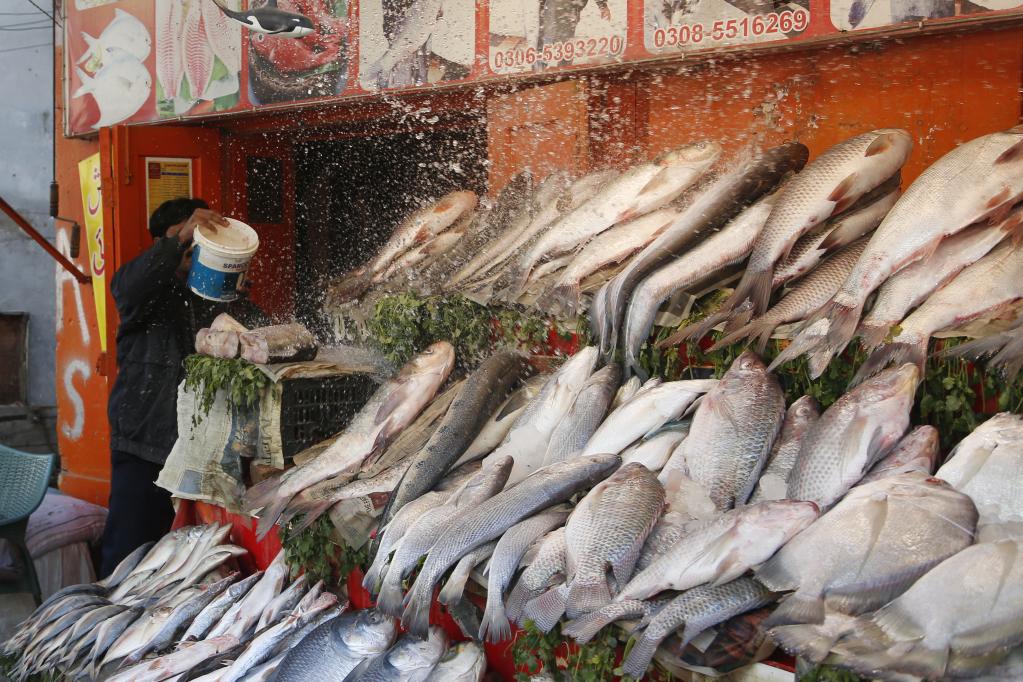 Puestos de pescado en Rawalpindi, Pakistán