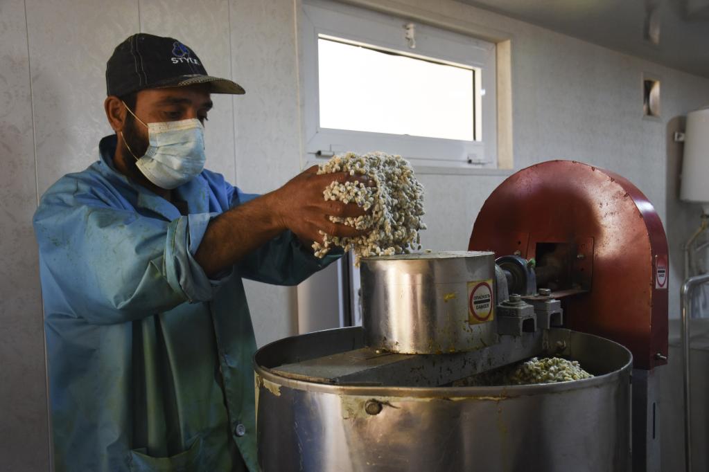Trabajadores laboran en una planta de aceite de cocina en Afganistán