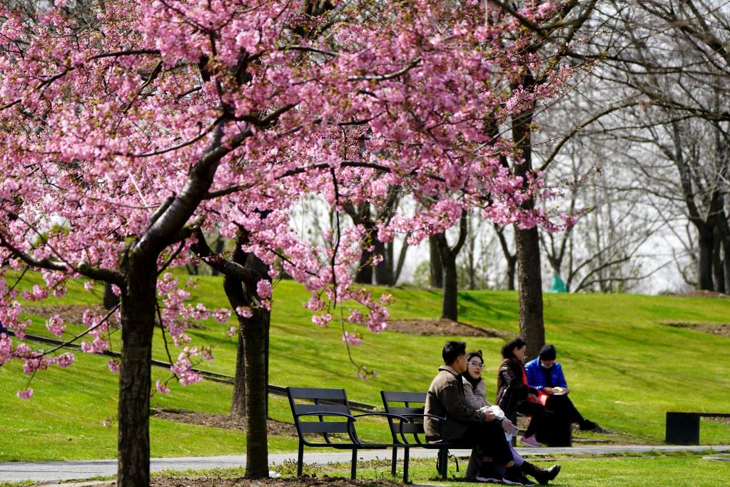Personas disfrutan de su tiempo de primavera en el Jardín Botánico Chenshan de Shanghai