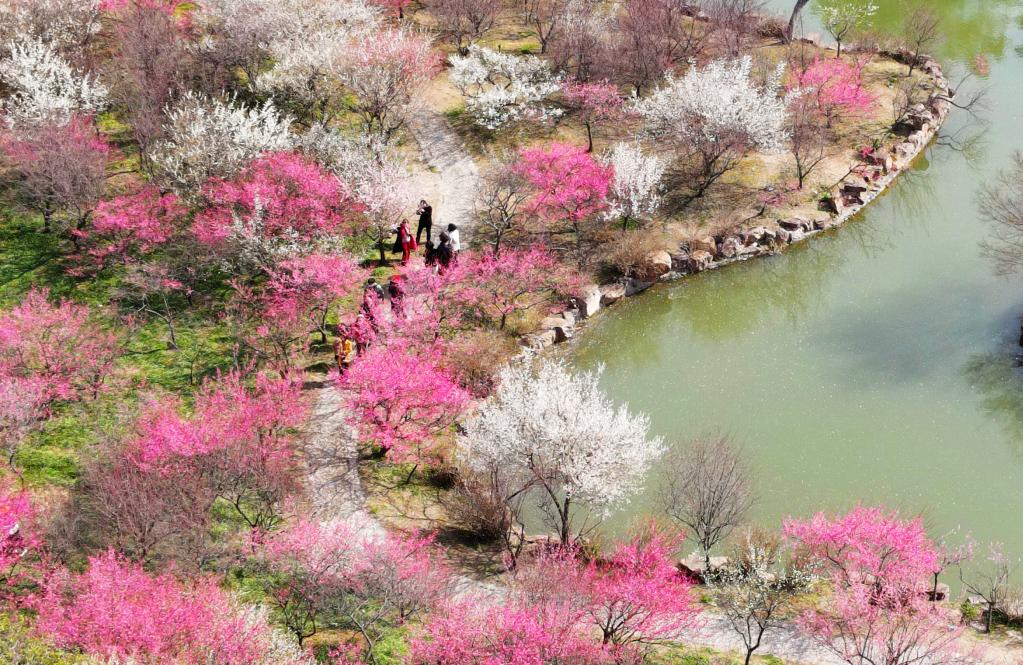 Personas disfrutan del tiempo de primavera en toda China