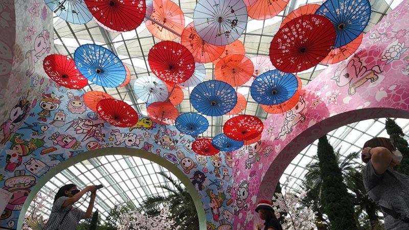 Flores de cerezo exhibidas en Singapur