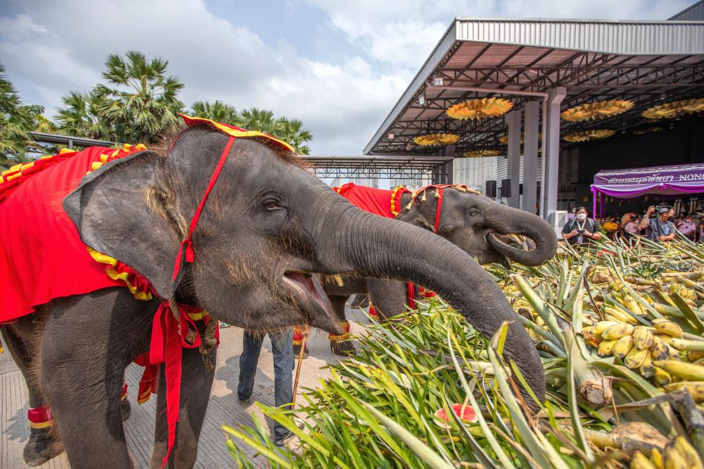 Celebración del Día Nacional del Elefante tailandés en Pattaya, Tailandia