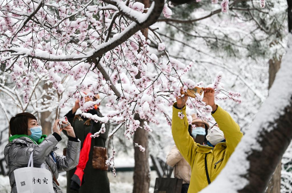 Personas disfrutan del paisaje nevado en parque en Beijing