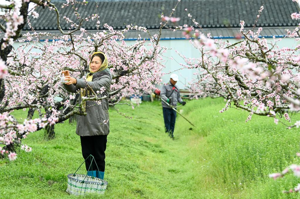 Chunfen señala el inicio de uno de los períodos de agricultura más concurridos del año
