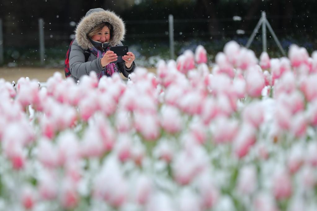 Bélgica: Parque del Cincuentenario durante un día nevado
