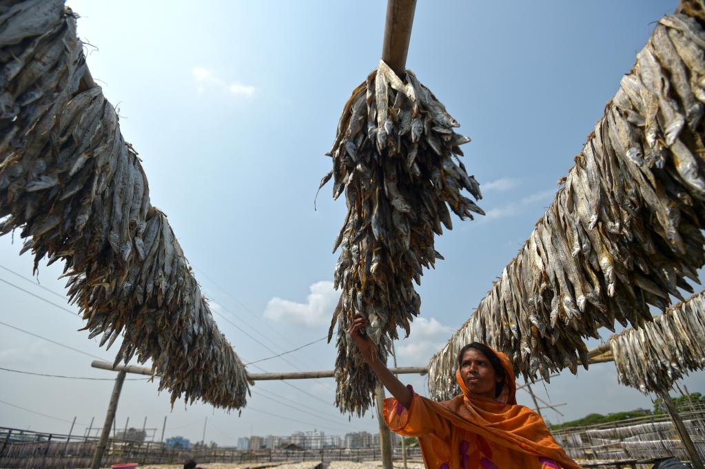 Personas secan pescado en Chattogram, Bangladesh