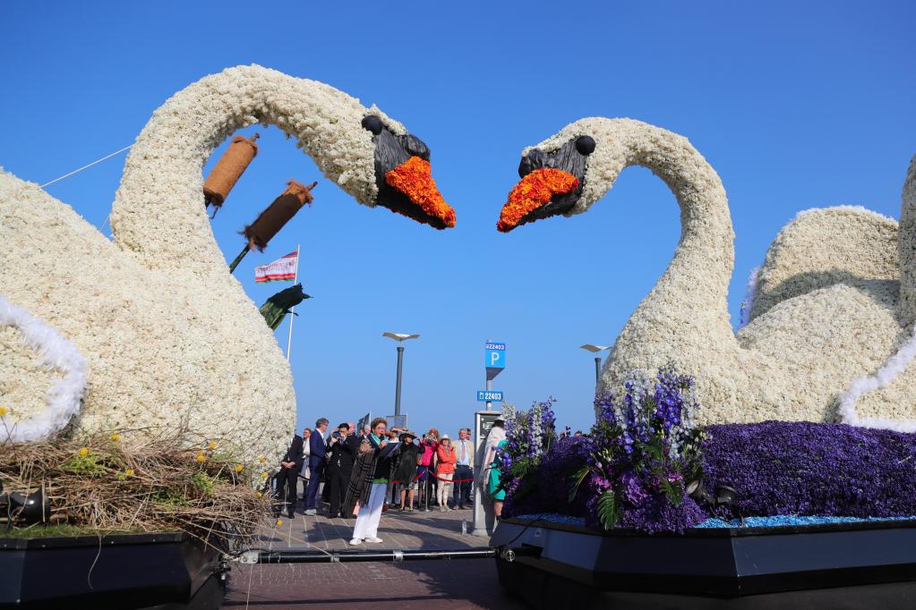 Desfile de Flores del Bollenstreek en Noordwijk, Holanda