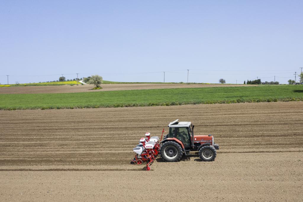 Grecia: Tractor siembra semillas de algodón en una granja