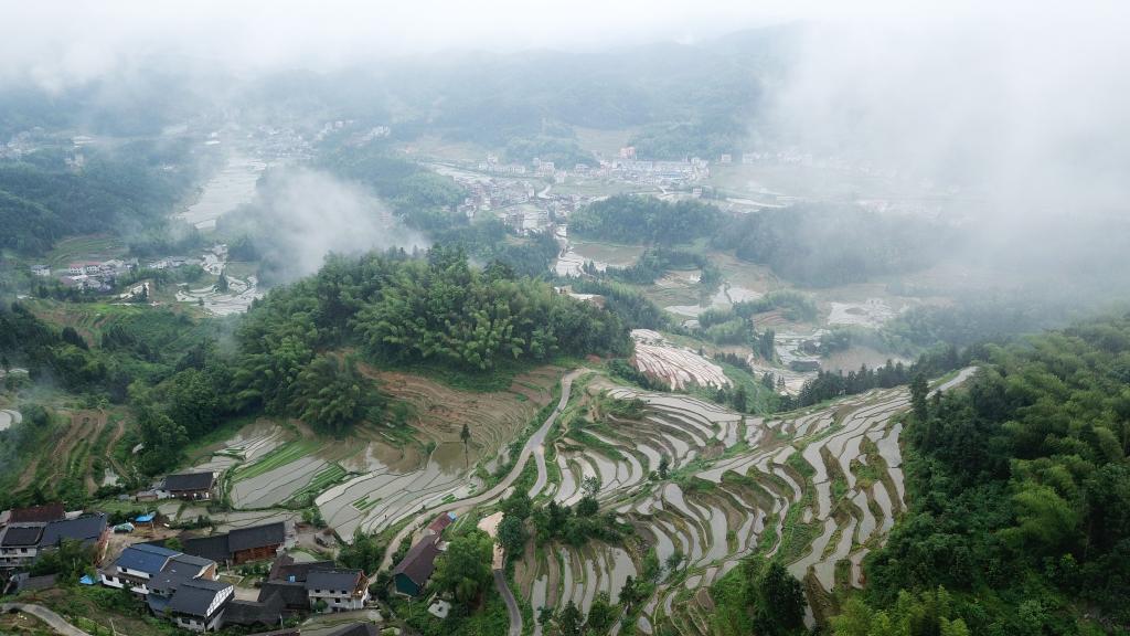 Terrazas de Ziquejie en Hunan