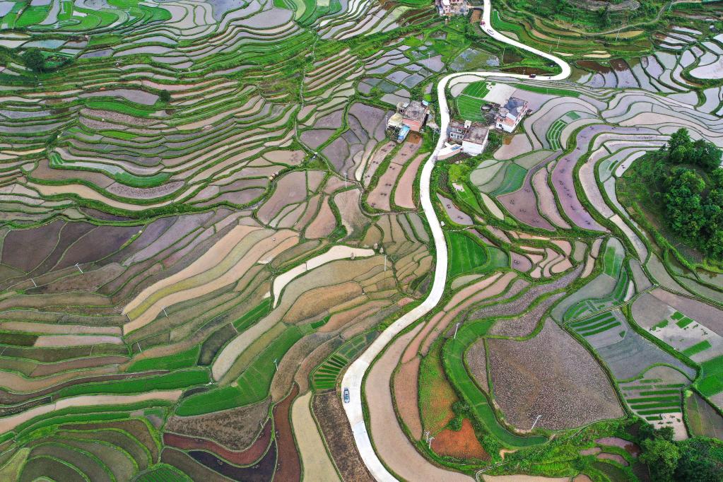 Guizhou: Terraza Lali en el distrito de Guiding