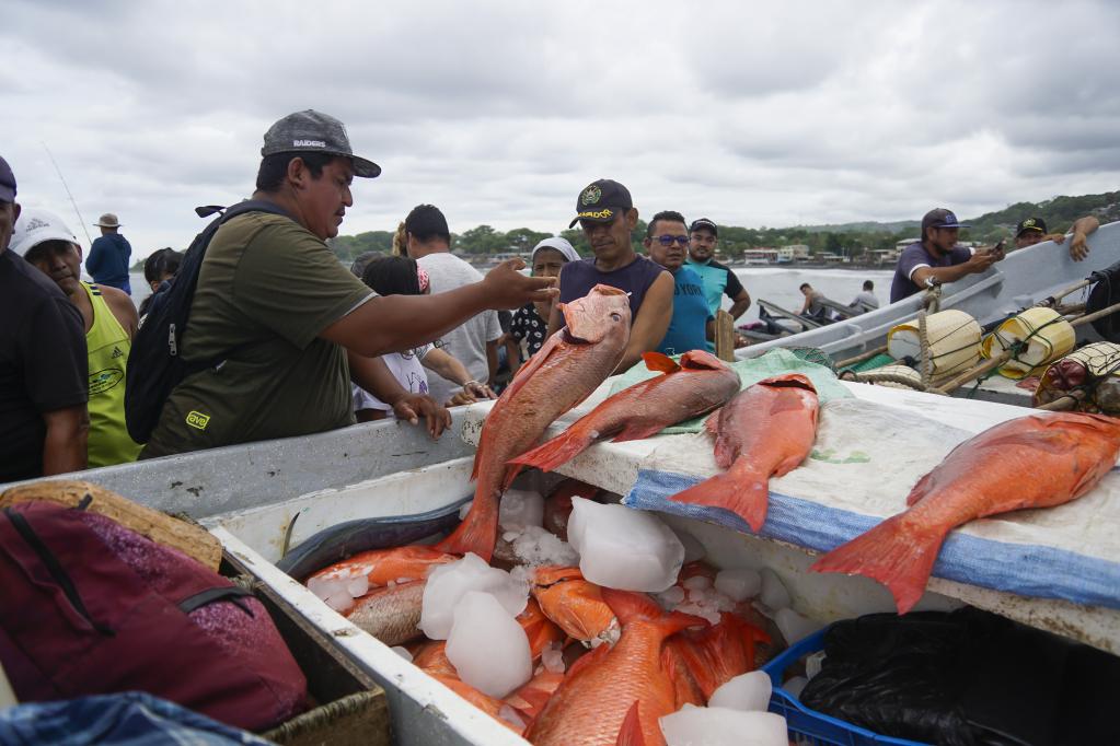 Mercado de pescado y mariscos Mercado del Mar en El Salvador