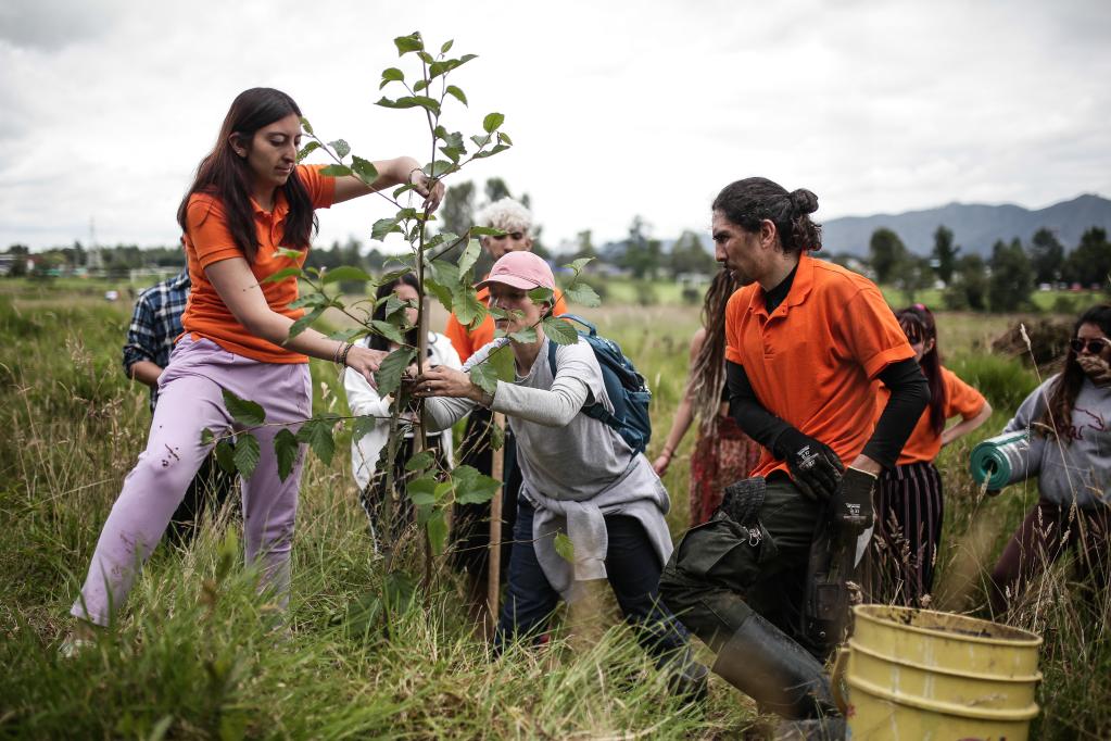 ESPECIAL: Bosque Sonoro conjuga música y siembra de árboles en capital colombiana en Día Mundial del Medio Ambiente