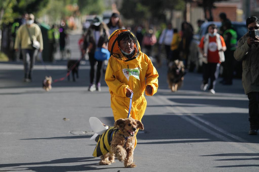 Carrera de perros llamada "Perrotón" en La Paz, Bolivia