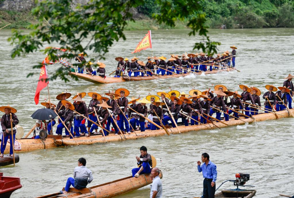 Guizhou: Festival del bote del dragón en canoa anual de la etnia miao