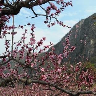 Guizhou: Bello paisaje de primavera