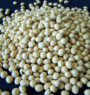China aprueba importación de 3 variedades de frijol de soya genéticamente modificadas