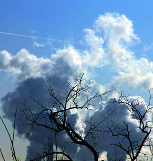 Gabinete chino introduce medidas enérgicas contra contaminación del aire