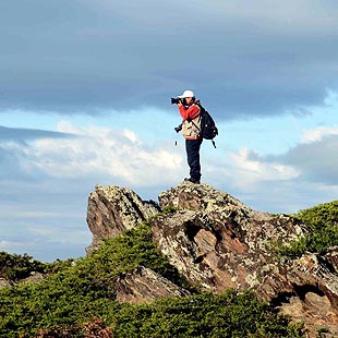 Xinjiang: Bello paisaje de pastizales de Argonne Ghet