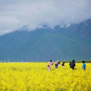 Qinghai: Bello paisaje de meseta Qinghai