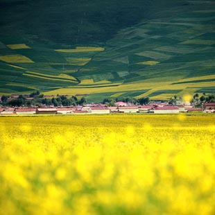 Qinghai entra en temporada alta de turismo