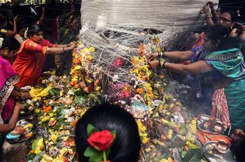 Mumbai: Personas celebran el Festival Vat Savitri