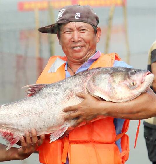 Pescadores volvieron a sus labores después de prohibición de pesca en el Lago Changdang
