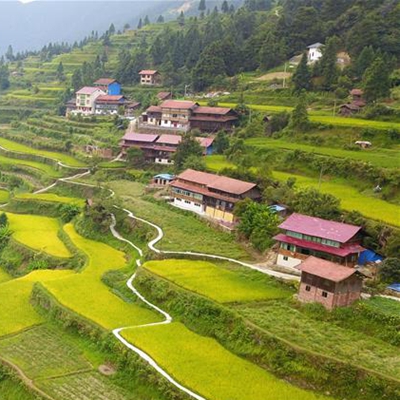 Terreno aterrazado de campos de arroz en Guizhou