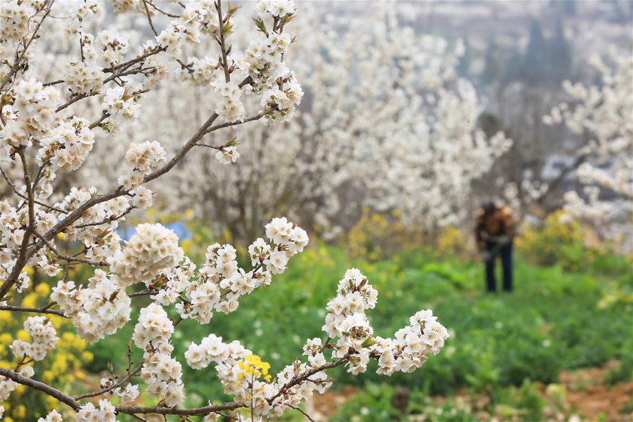 Agricultores trabajan en campos