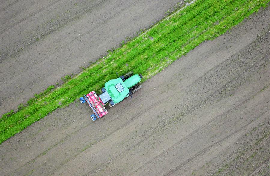 Producci&oacute;n agr&iacute;cola est&aacute; en marcha en Guizhou