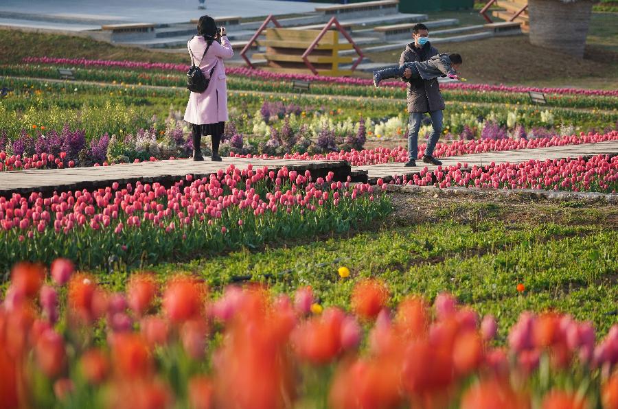 Paisaje idílico de la aldea Xujiayuan en Nanjing, Jiangsu