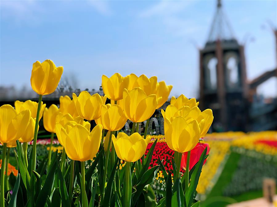 Paisaje primaveral de Shanghai