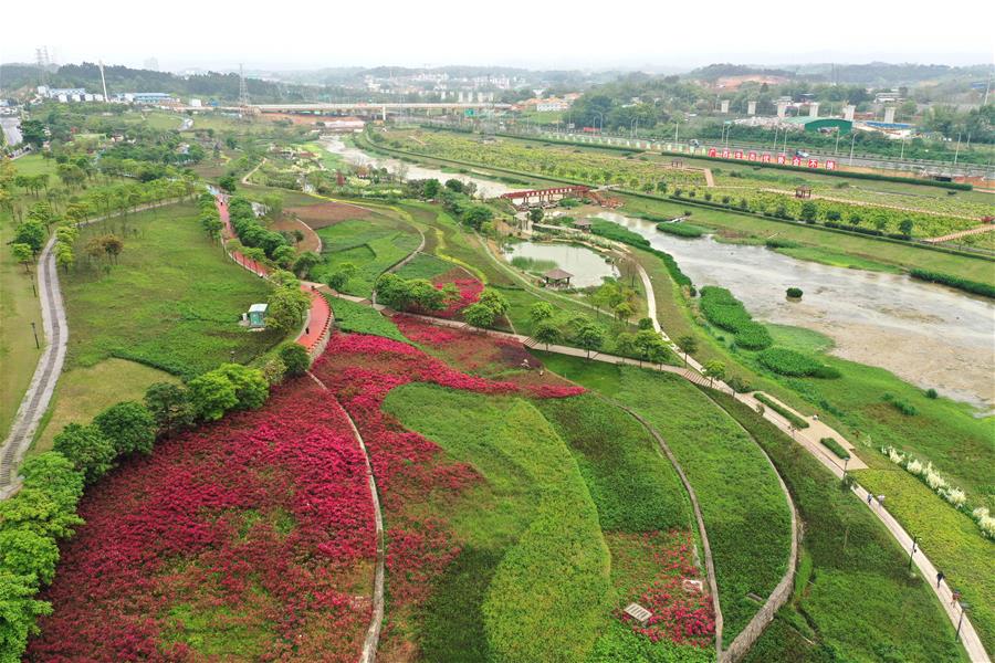 Paisaje del parque de humedal del r&iacute;o Nakao en Nanning