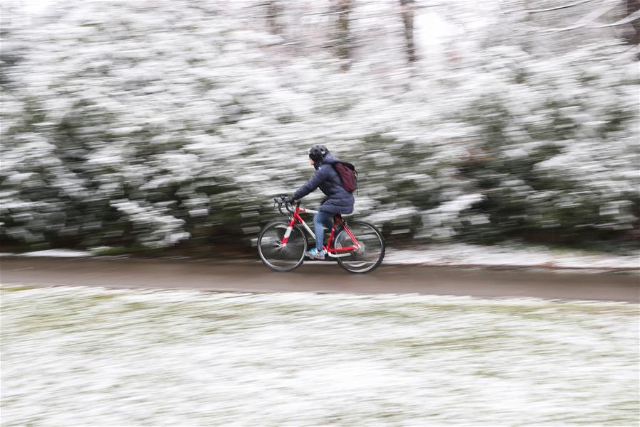 Alemania: Parque cubierto de nieve en Berlín