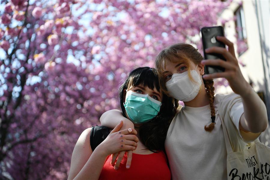 Cerezos en flor en calle Heer en Bonn, Alemania