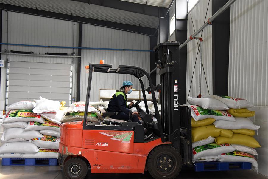 Heilongjiang: Empresas han reanudado la producción en Qinggang