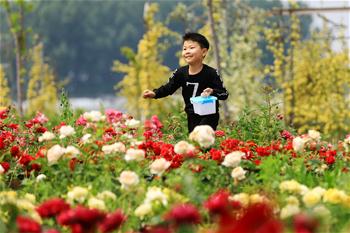 Anhui: Ni&ntilde;os disfrutan del tiempo libre en la ciudad de Huaibei