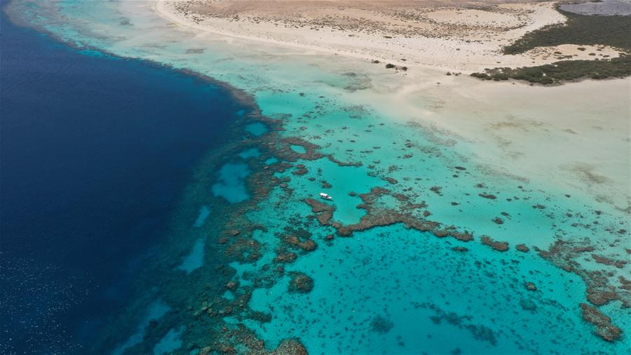 Sitio del Proyecto del Mar Rojo en Arabia Saudita