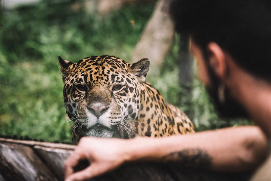 Parque safari de Langhe en Murazzano, Italia