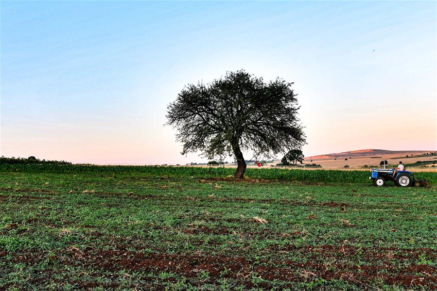 Ola de calor se registra en Macedonia del Norte