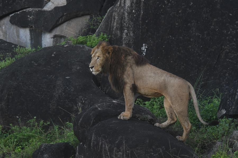 Uganda: Parque Nacional del Valle Kidepo