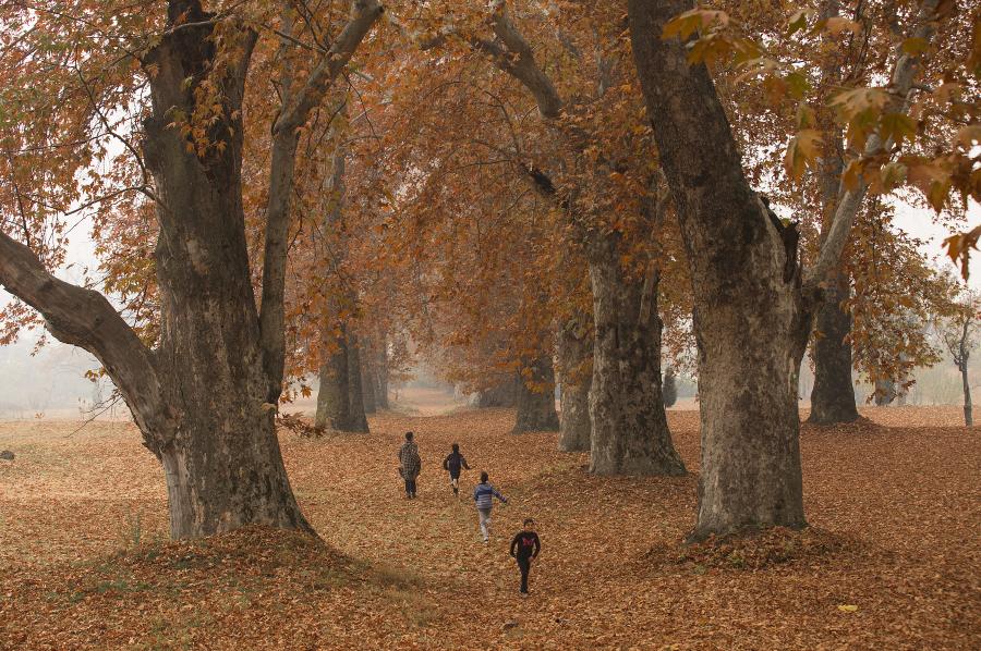 Paisaje del jardín Nishat en la ciudad de Srinagar