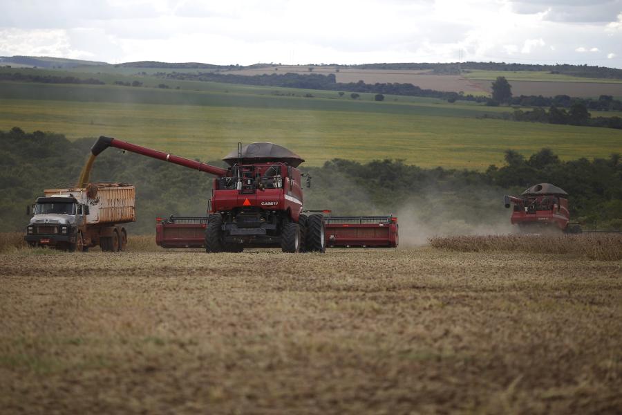 Maquinaria agrícola cosecha granos de soja en la granja Nativa en Brasilia, Brasil