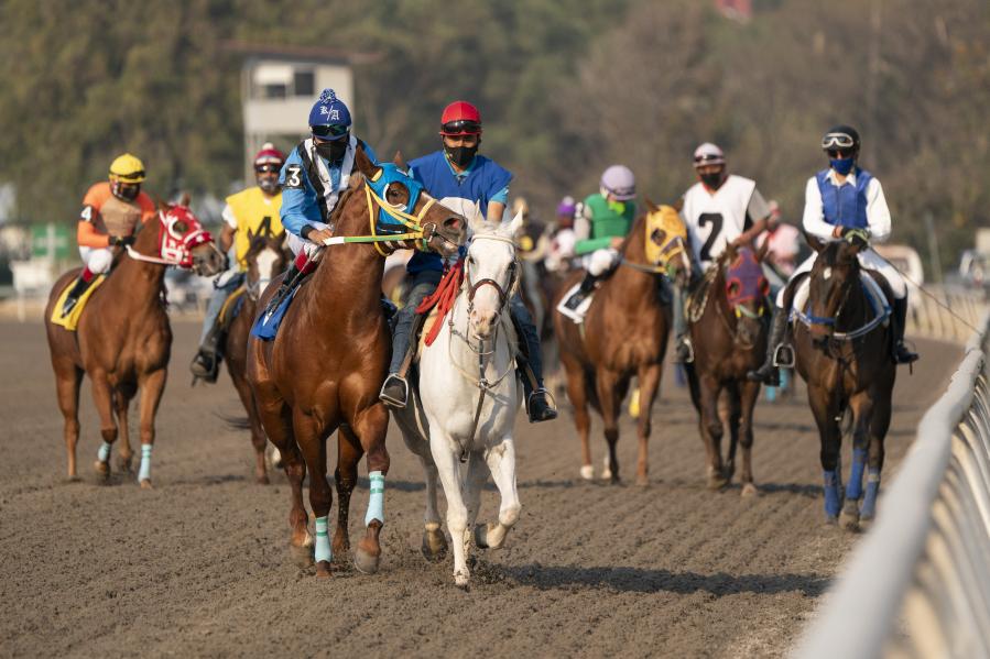 Carrera en Hip&oacute;dromo de las Am&eacute;ricas en Ciudad de M&eacute;xico