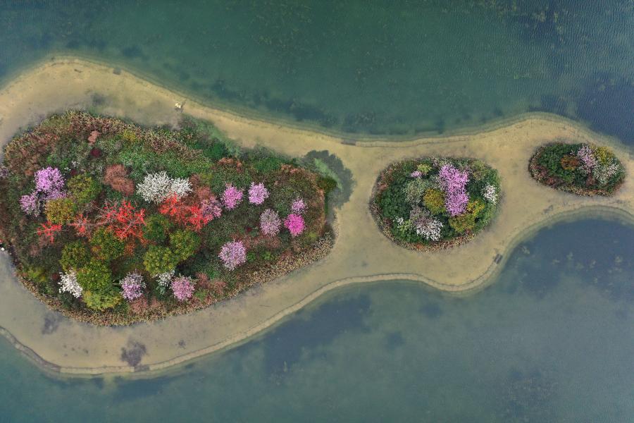 Flores en pequeñas islas en medio del lago Nanhu en Nanning