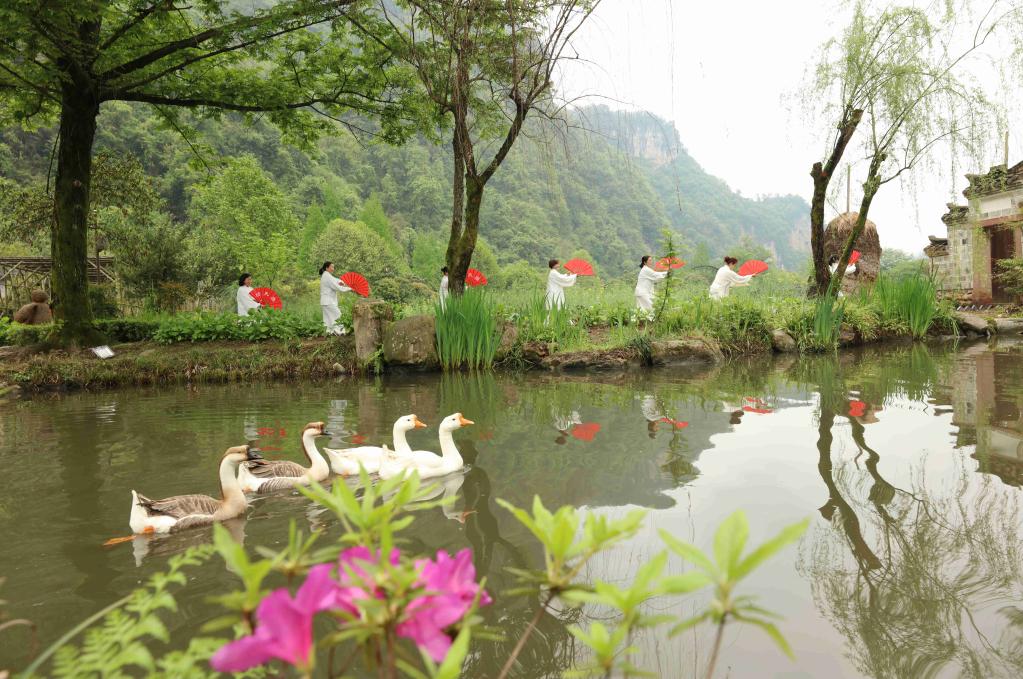 Personas practican Taichi en Zhangjiajie de Hunan