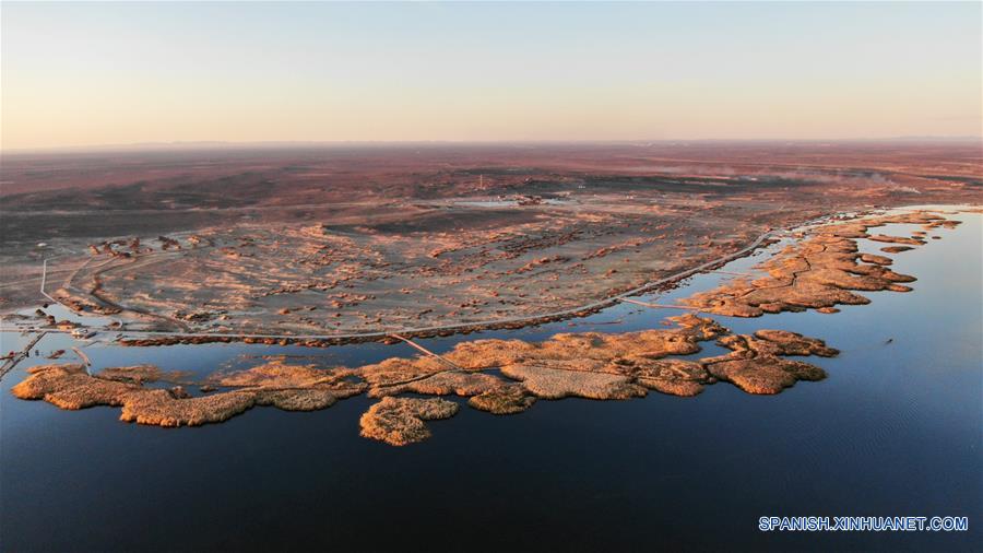 CHINA-EJINA-LAGO JUYAN-PAISAJE