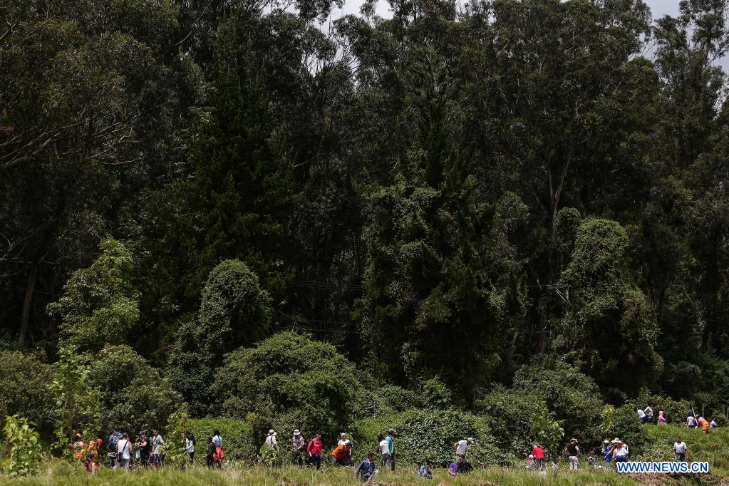 ESPECIAL: Bosque Sonoro conjuga música y siembra de árboles en capital  colombiana en Día Mundial del Medio Ambiente| Spanish.xinhuanet.com