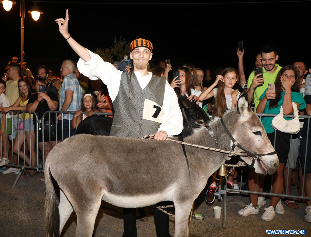 Carrera tradicional de burros de Tribunj, Croacia 